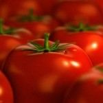 диета помидорная для похудения